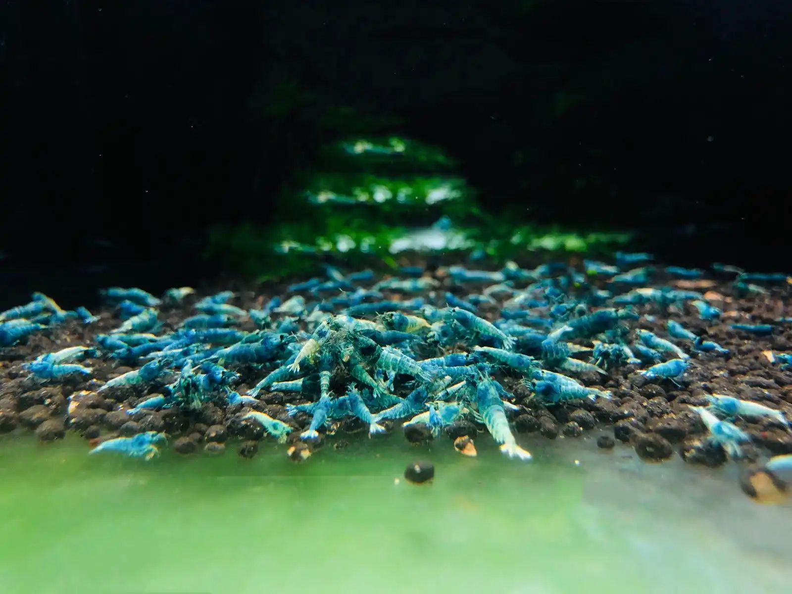 Elevate Your Underwater World